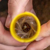 Avid Carp Transfer Solid Bag System